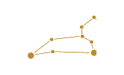 Constellation Lion